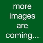 More images coming..
